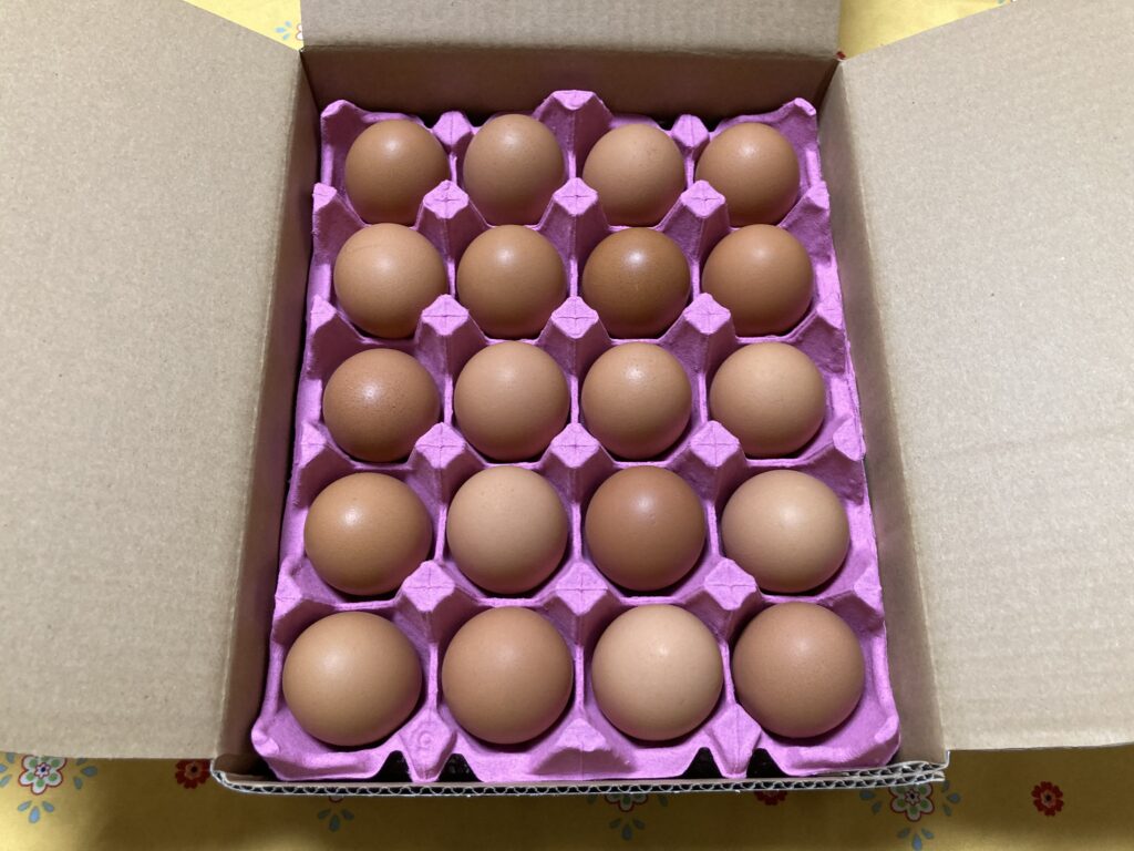 宮崎県新富町から届いたふるさと納税返礼品の卵